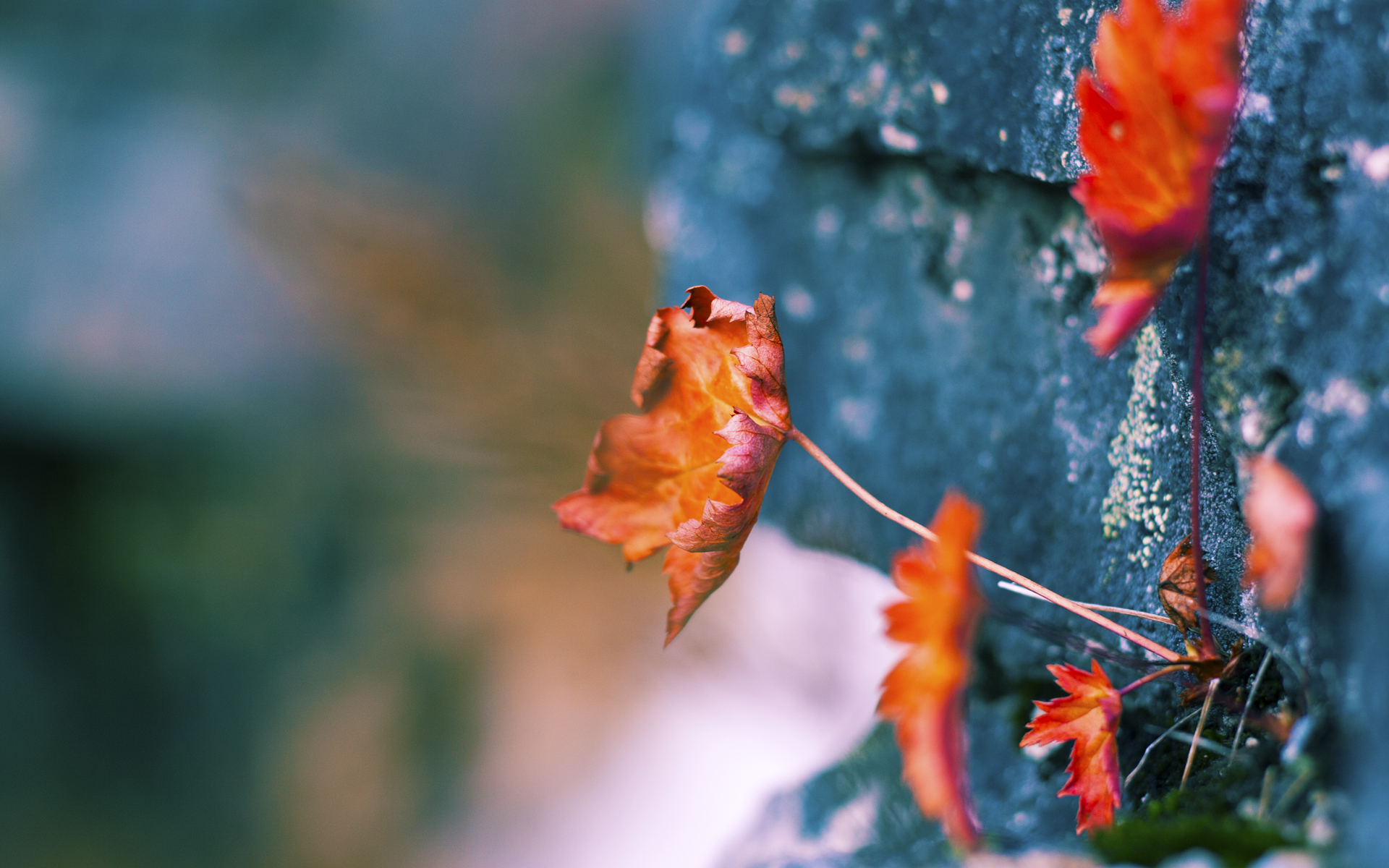 ac米兰官网-石油人篮板球争夺激烈，石油人篮板球争夺激烈比赛