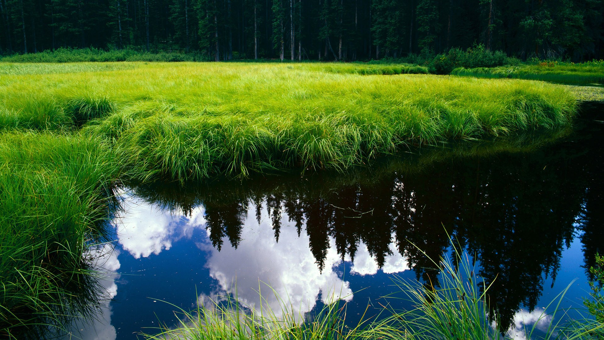 米兰体育官方入口-那不勒斯主场大胜，重登胜利彼岸，那不勒斯新球场