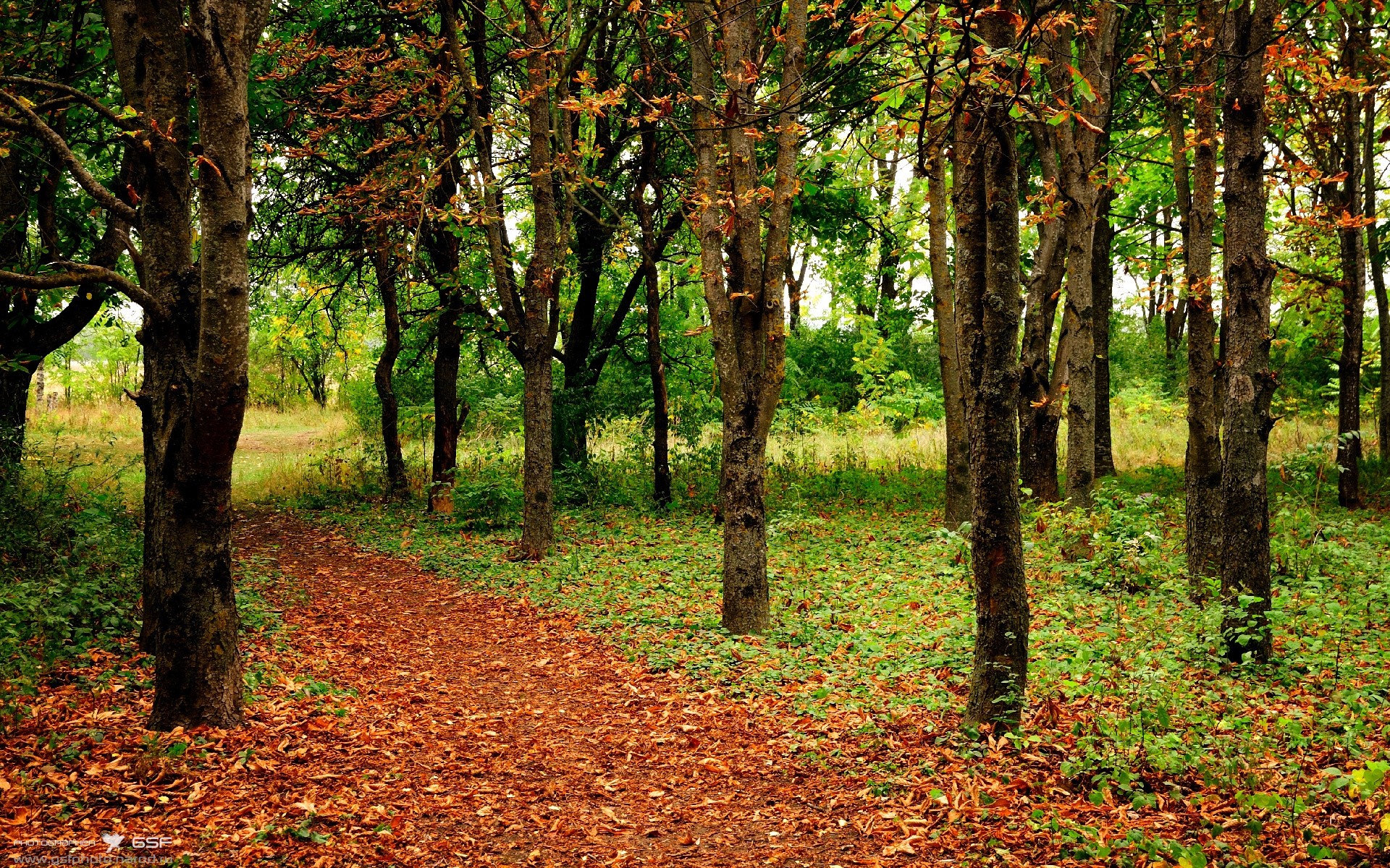 ac米兰官网-运动界亮点：女足比赛中的激烈对抗！，女足名场面