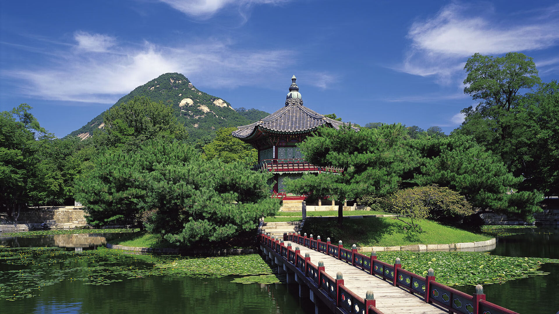 中国篮球青训体系课程标准化建设及质量保障机制，中国篮球青训系统