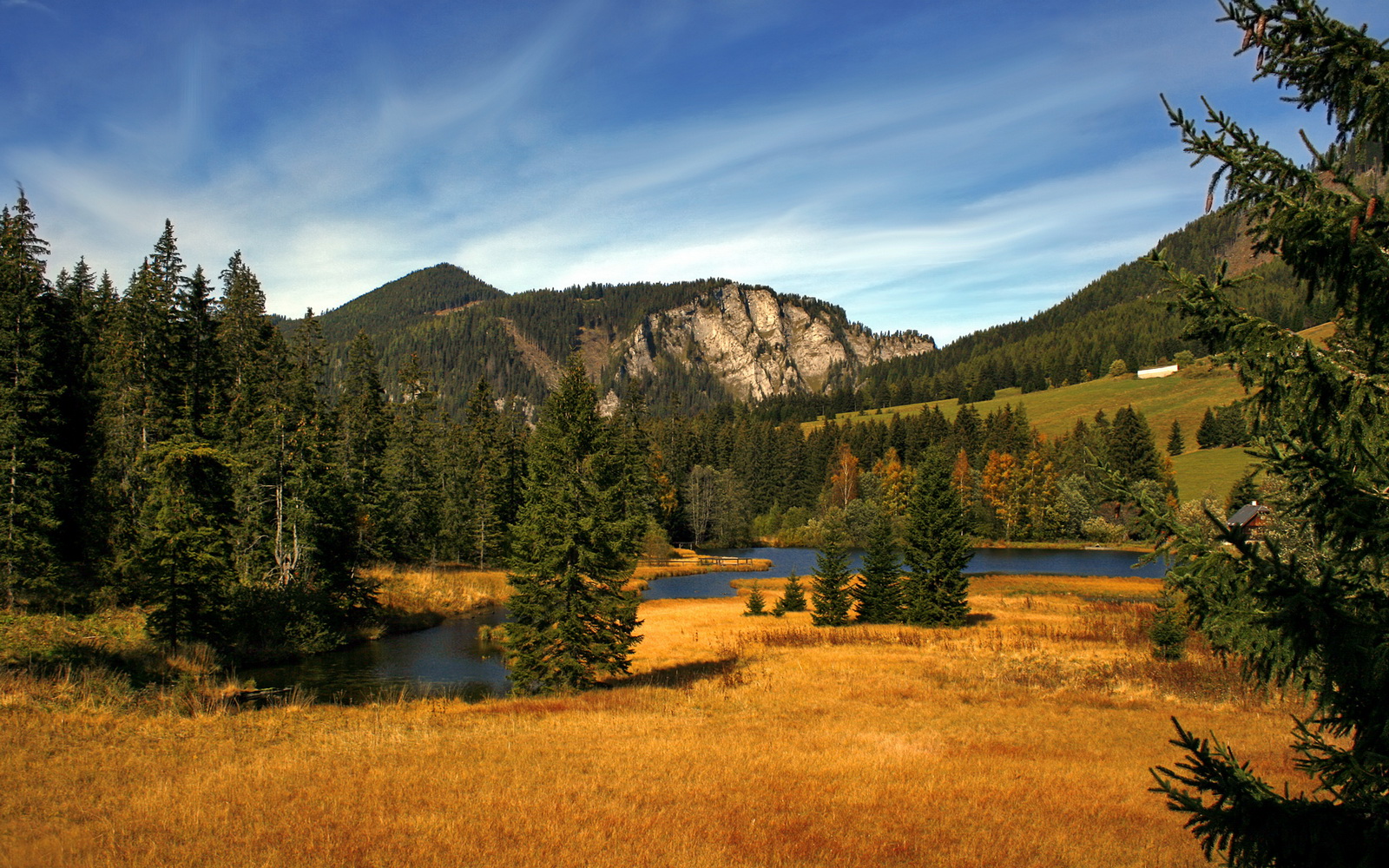 ac米兰官网-中小学体育课程改革深化成果显著，中小学体育课程改革与发展的现状