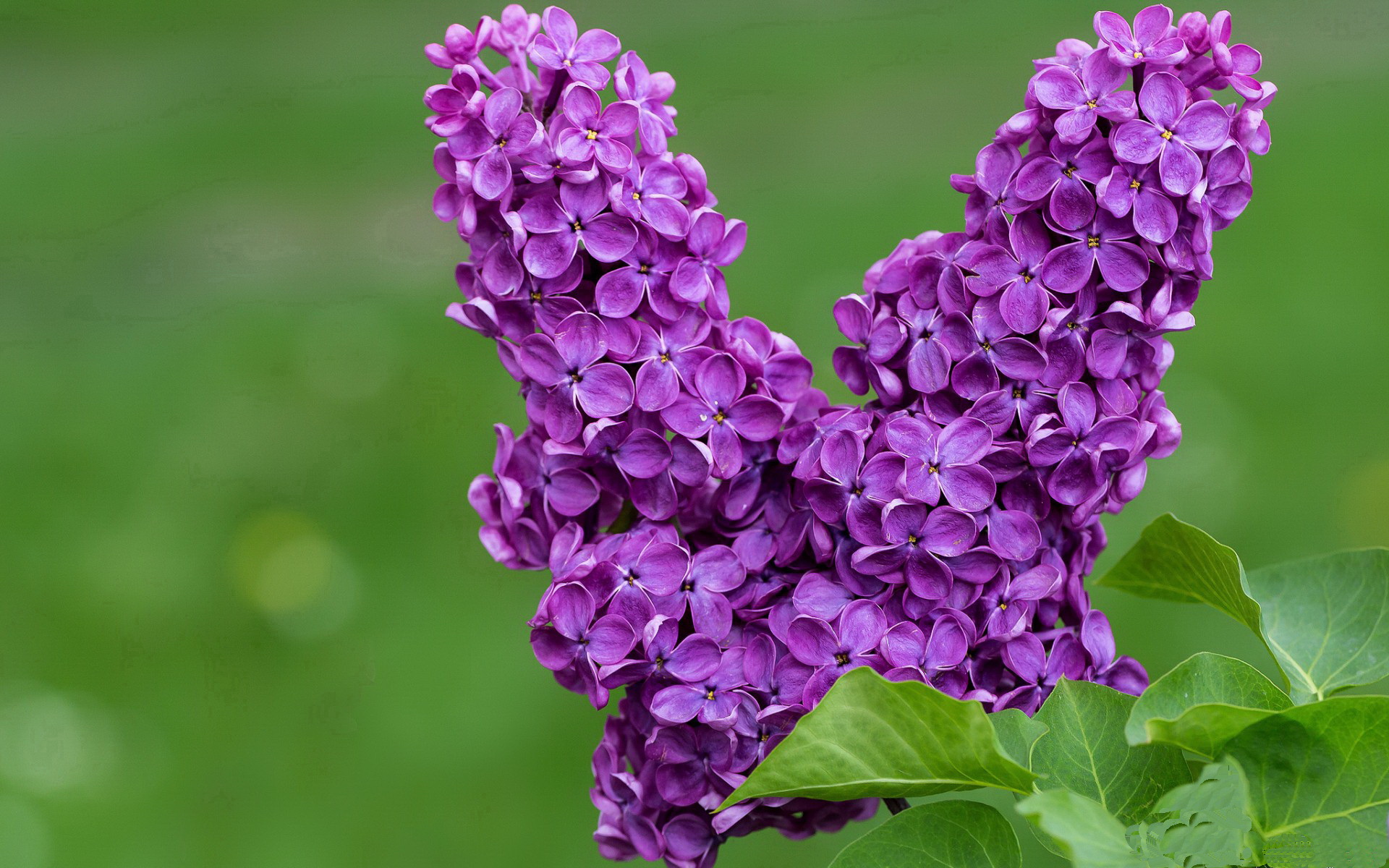 米兰体育官方网站入口-亚冠联赛U23国足晋级 球迷为球队加油助威，u23亚洲杯中国队名单