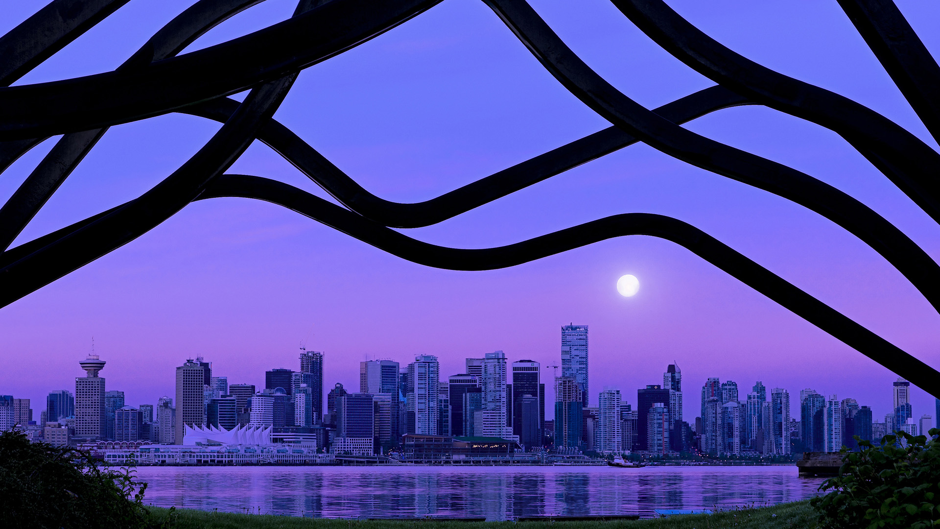 波尔宣布退役,乒坛送别传奇,乒乓 波尔